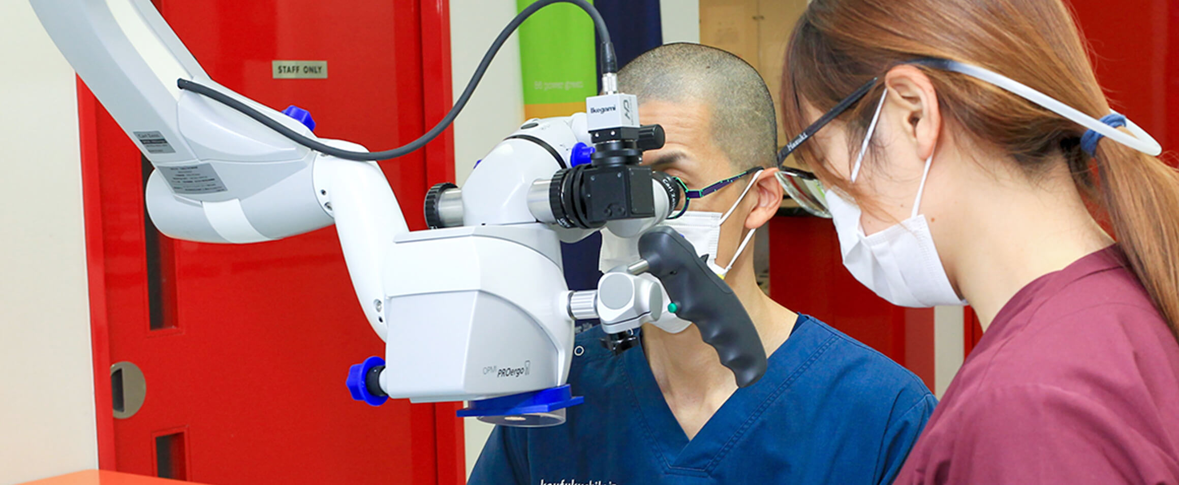 1978年開業の実績